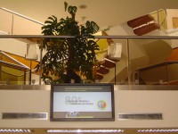 /album/galerie-de-photos-2015/rec-2-jpg3/